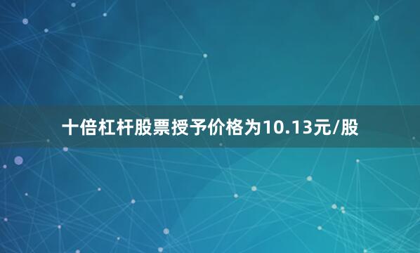 十倍杠杆股票授予价格为10.13元/股