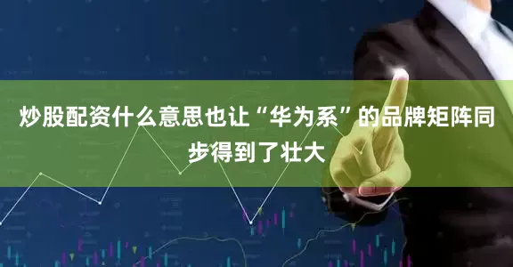 炒股配资什么意思也让“华为系”的品牌矩阵同步得到了壮大