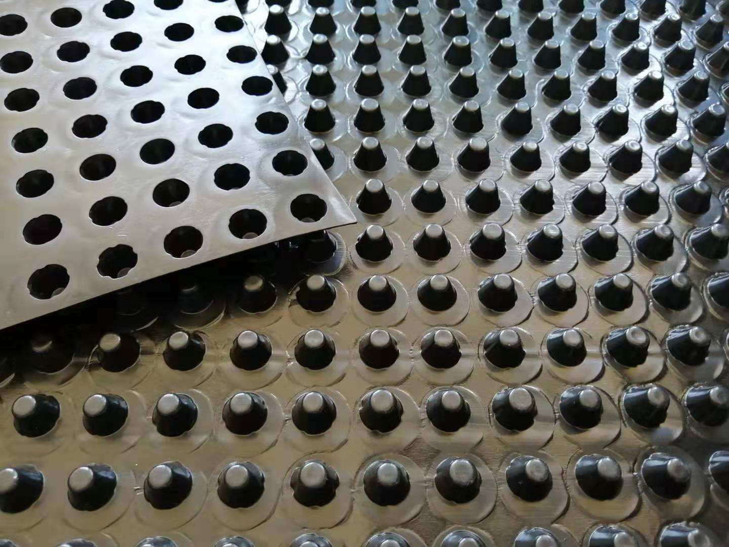 排水板