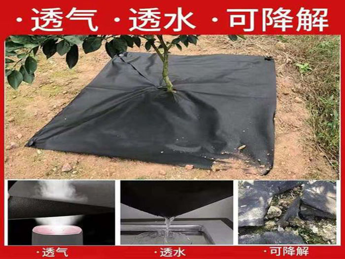 防草布好用么？
