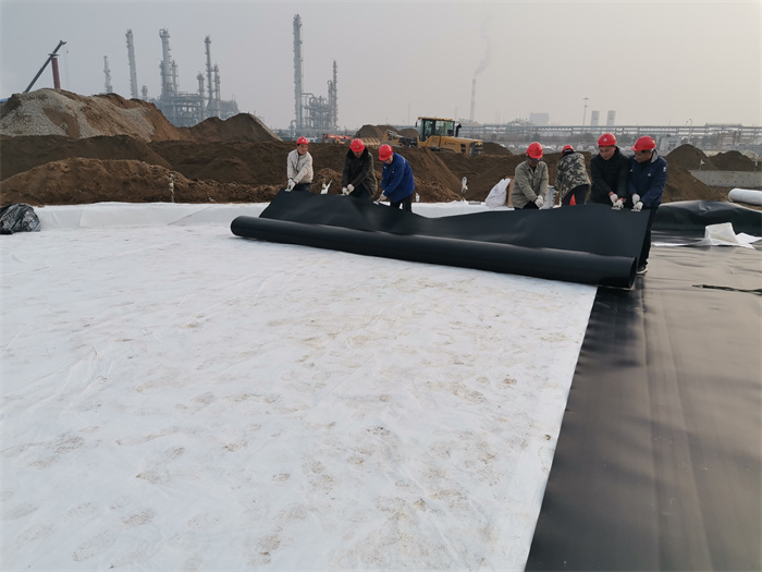 污水池HDPE防滲膜土工膜一平方什么價格？
